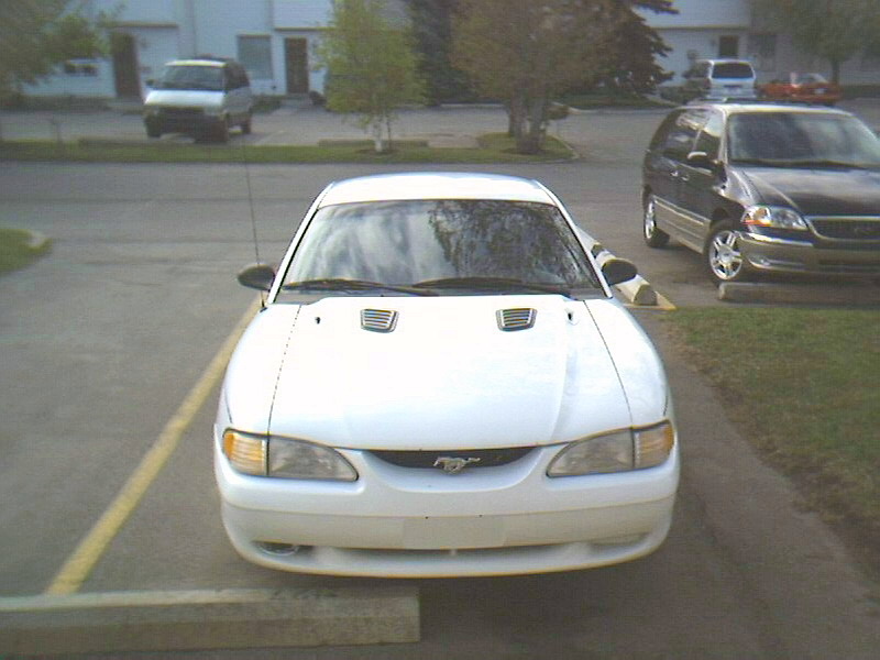 img15.jpg
